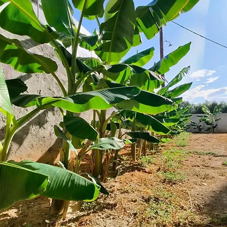 M&m's Loft Apartamento *