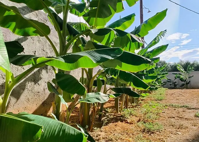 M&m's Loft Appartement *